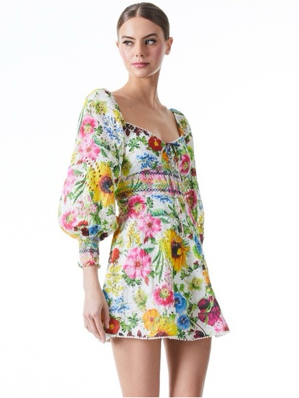 Alice + Olivia Crawford Mini Dress Sunday Stroll Multi